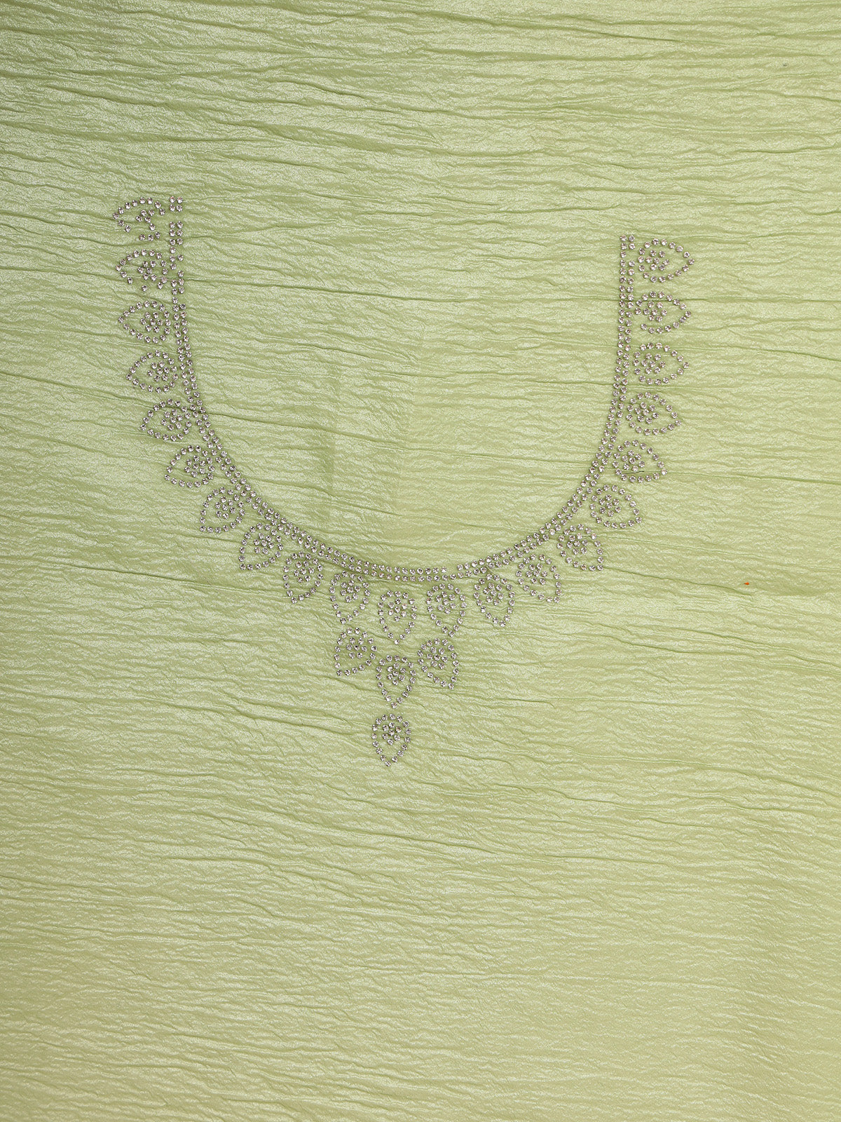 Light Green Organza Saree with Resham Embroidered Border