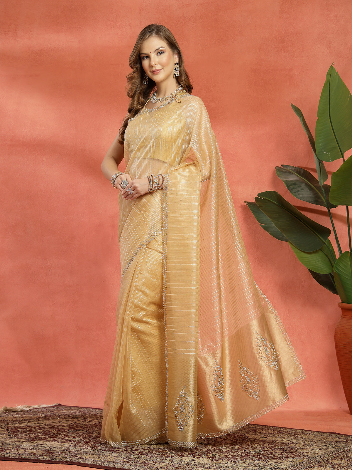 Champagne Beige Tissue Organza Designer Saree
