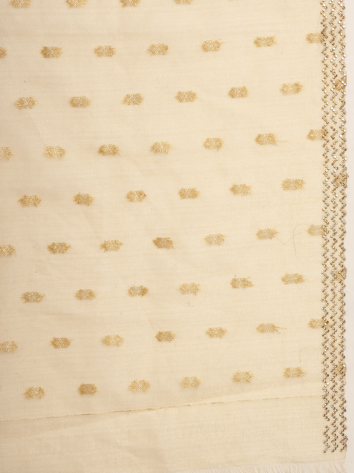 Champagne Beige Tissue Organza Designer Saree